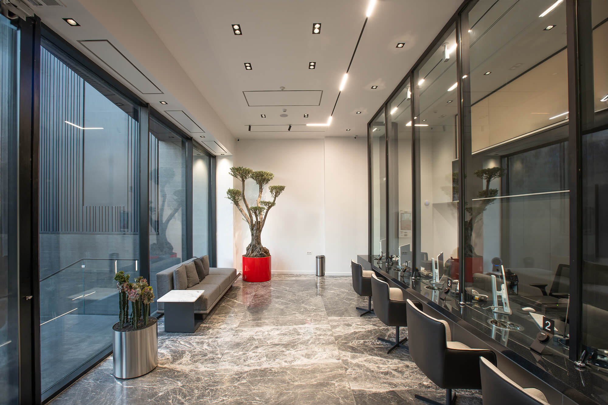 Elissa Currency Exchange