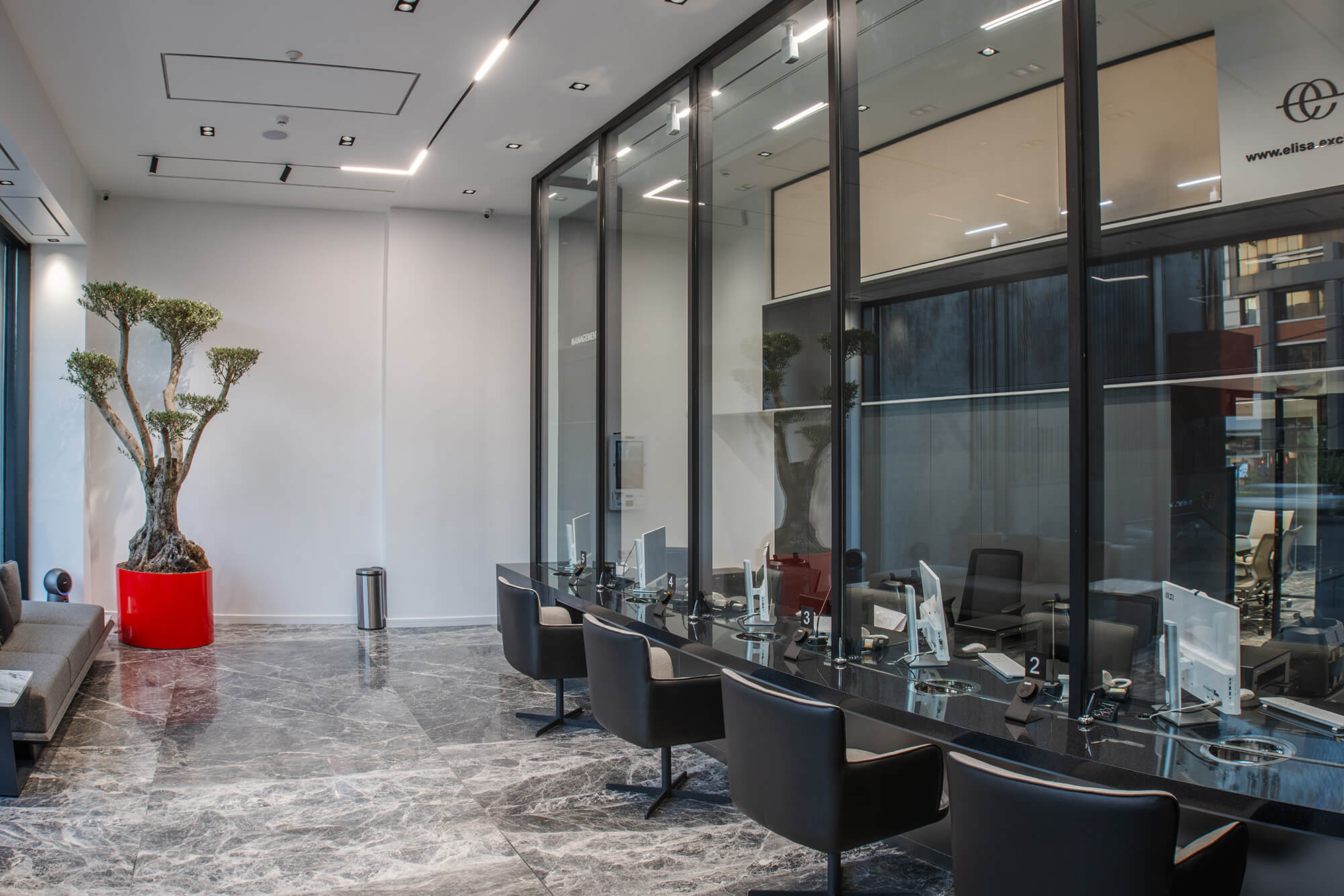 Elissa Currency Exchange