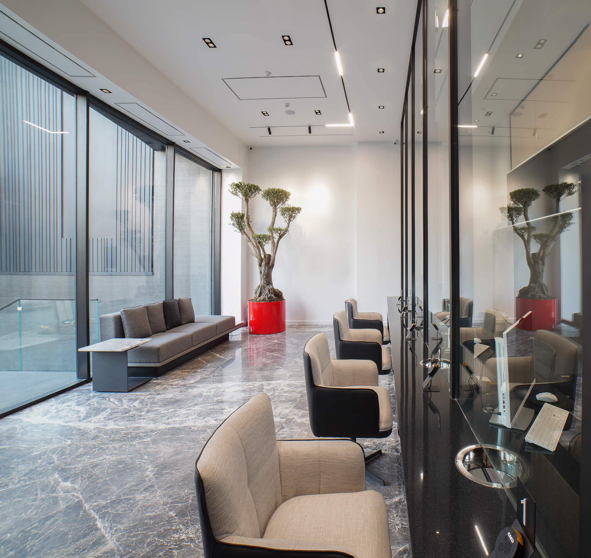 Elissa Currency Exchange